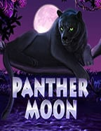 สมัคร บอล ฟรี10 รับ 100 เว็บ ใหม่ที่ต้องลองเล่น